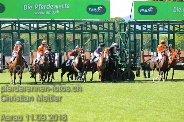 ET0Q0432 prot
